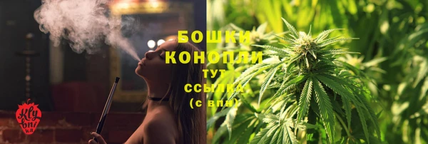ГАЛЛЮЦИНОГЕННЫЕ ГРИБЫ Гусиноозёрск