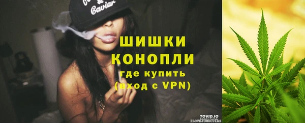мет Елизово