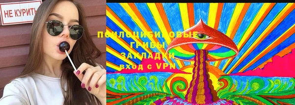 герыч Ельня