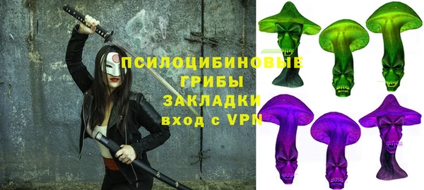 PSILOCYBIN Гусев