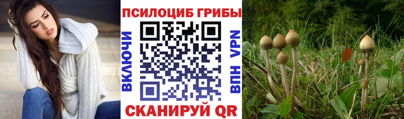 наркошоп  Ессентукская  Галлюциногенные грибы мицелий 